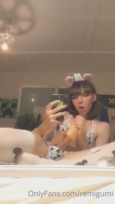 Petite TranStar cum