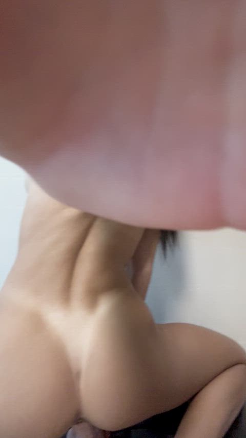 Can't resist this irresistible attraction