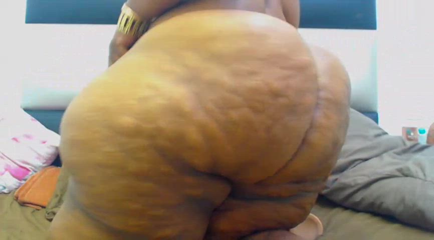 Moving and shaking this giant ass for you