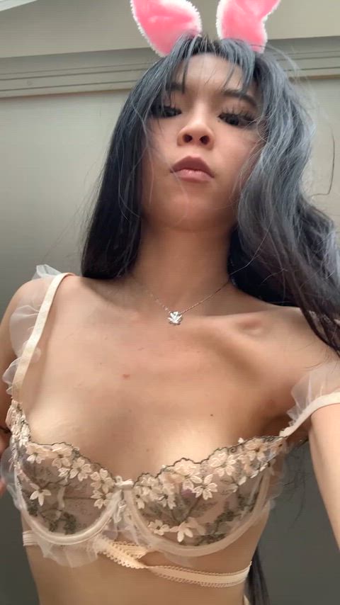 Any BWC wanna breed this Japanese beauty?