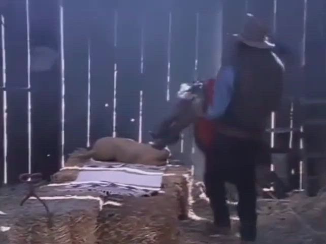 Lisa Ann in Dirty Western II: Smokin Gun (1994)