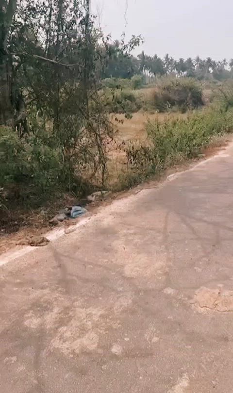 Outdoor Dare
